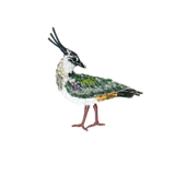 Lapwing Bird Brooch | Trovelore