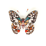 Lime Swallowtail Butterfly Brooch | Trovelore