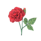 Love Rose Brooch | Trovelore