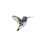 Lucifer Hummingbird Brooch | Trovelore