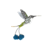 Marvelous Spatuletail Bird  Brooch | Trovelore