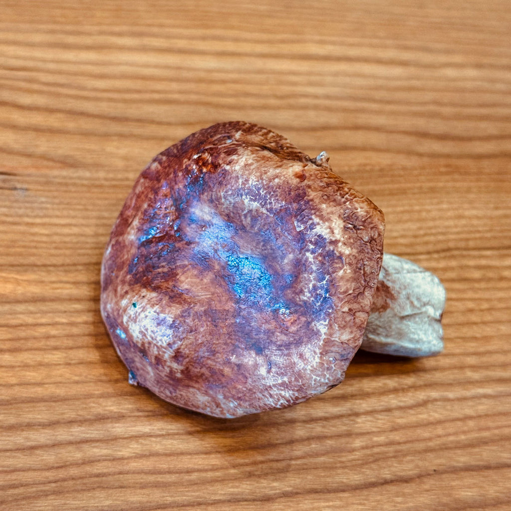 Porcelain Porcini Mushroom