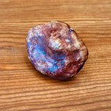 Porcelain Porcini Mushroom