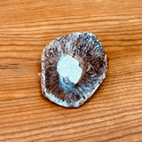 Porcelain Porcini Mushroom