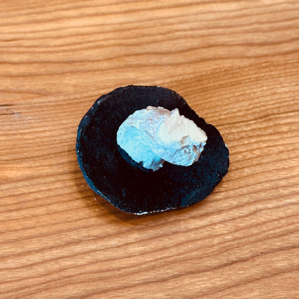 Porcelain Bolete Mushroom