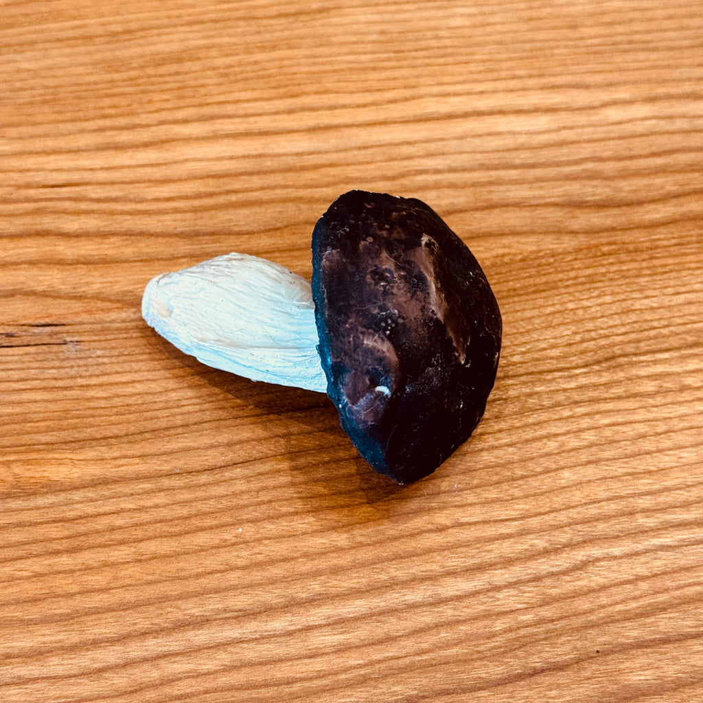 Porcelain Bolete Mushroom