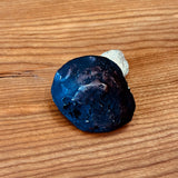 Porcelain Bolete Mushroom