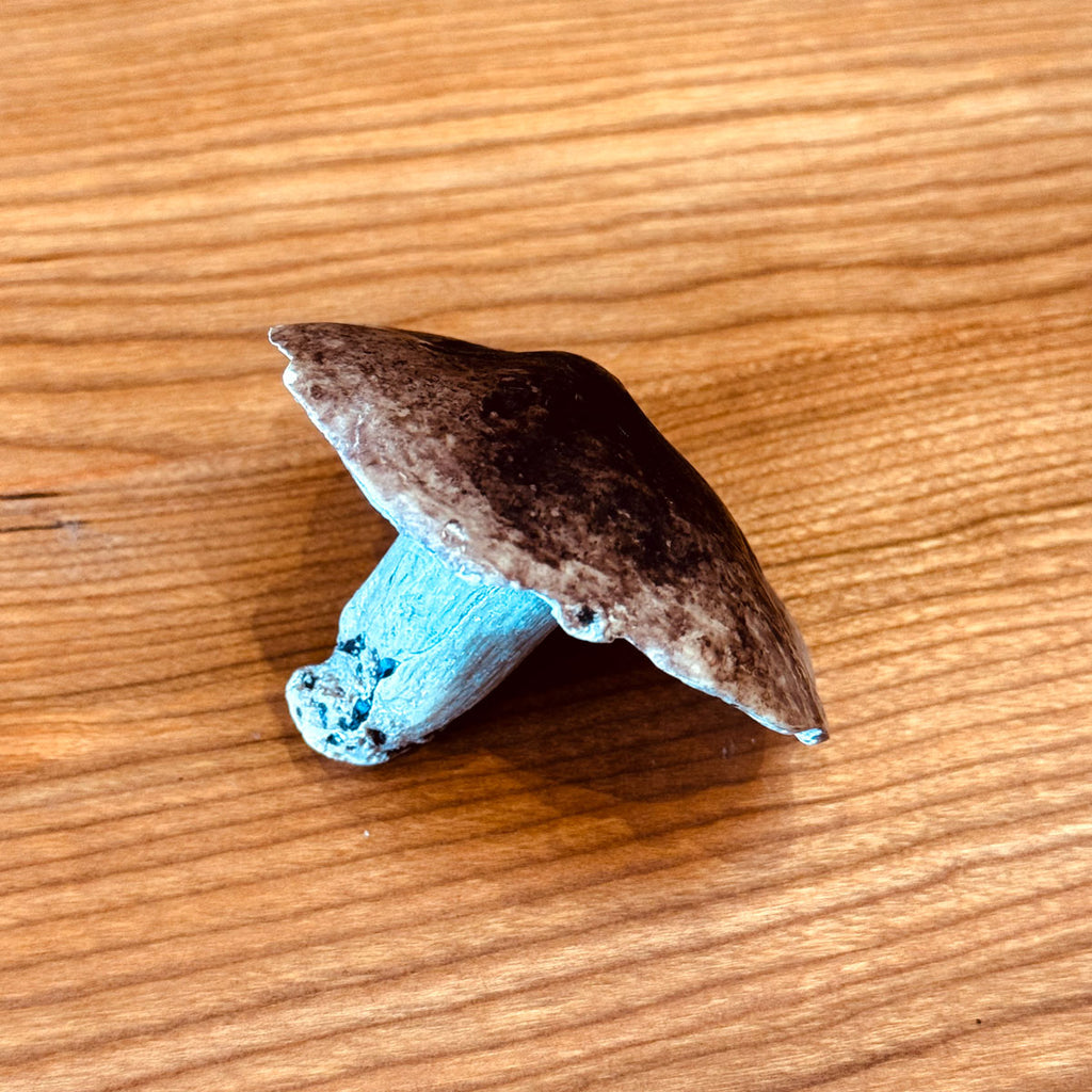 Porcelain Shitake Mushroom