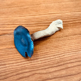 Porcelain Oyster Mushroom