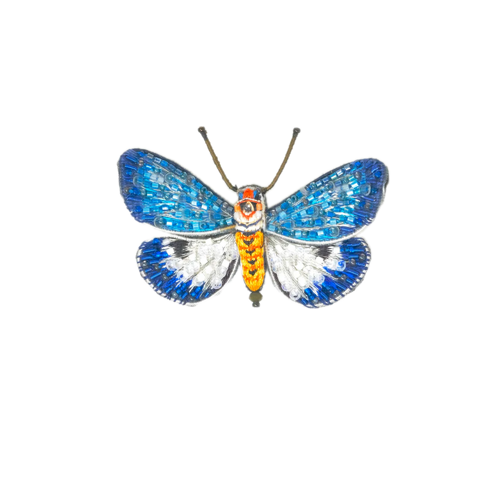 Neochera Moth Brooch  | Trovelore