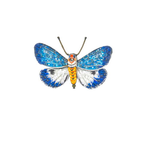 Neochera Moth Brooch  | Trovelore