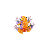 Orange Dart Frog Brooch | Trovelore