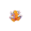 Orange Dart Frog Brooch | Trovelore