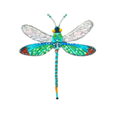 Oriental Greenwing Dragonfly Brooch | Trovelore