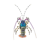 Ornate Painted Lobster Brooch