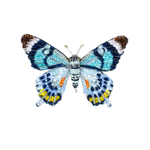 Papilio Lagaizei Butterfly Brooch | Trovelore
