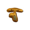 Penny Bun Mushroom Brooch | Céleste Mogador