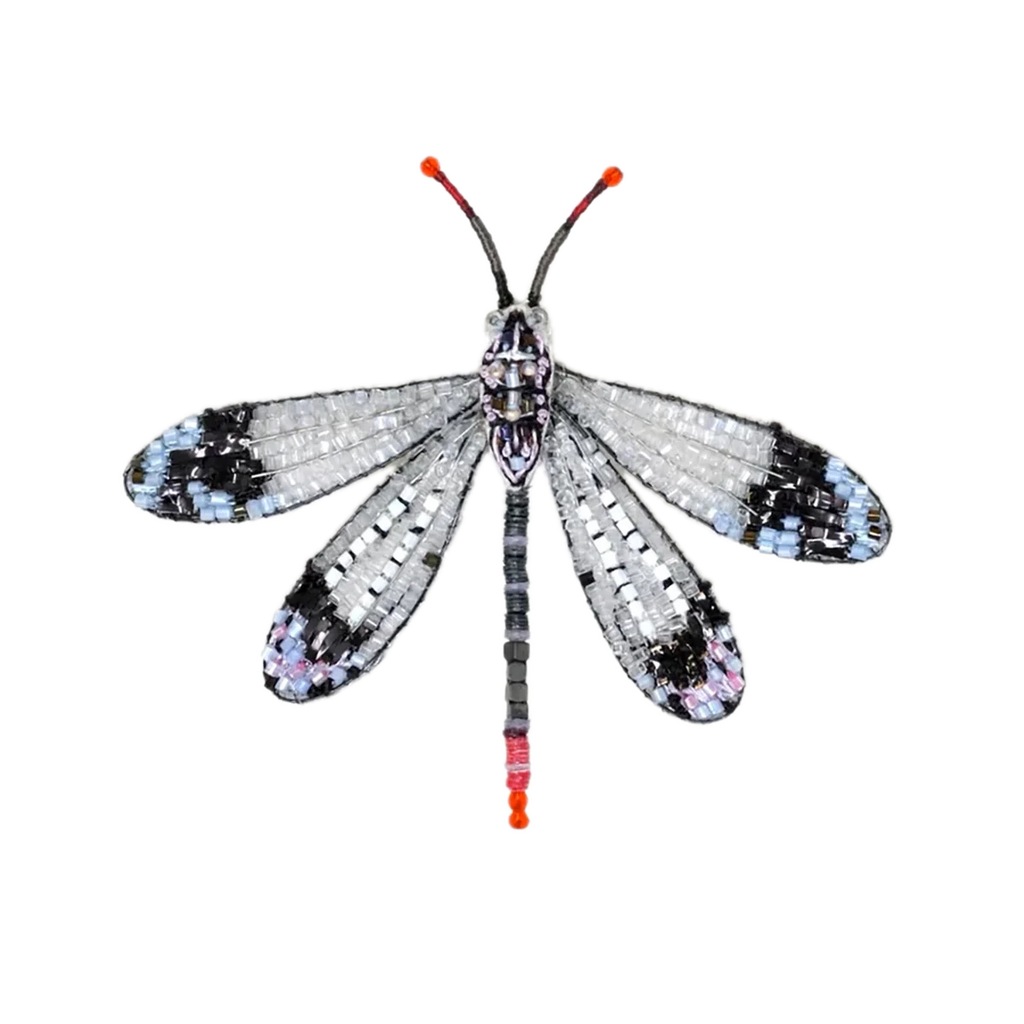 Pleasing Antlion Brooch | Trovelore