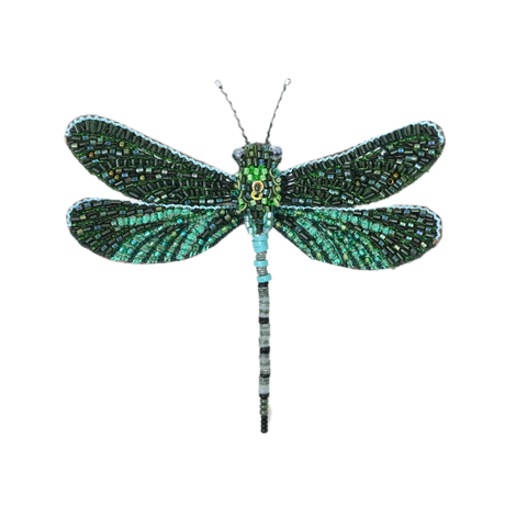 Pondhawk Dragonfly Brooch | Trovelore