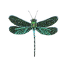 Pondhawk Dragonfly Brooch | Trovelore