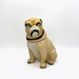 c. 1880 Large English Staffordshire Pug Tobacco (Treat) Jar