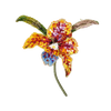 Queen of Orchids Brooch | Trovelore