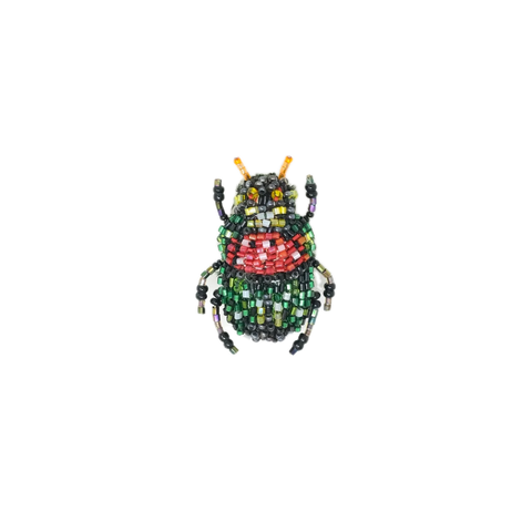 Rainbow Scarab Brooch | Trovelore