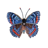 Red-Spotted Admiral Butterfly Brooch | Trovelore