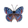 Red-Spotted Admiral Butterfly Brooch | Trovelore