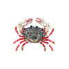 Red Clawed Crab Brooch | Trovelore