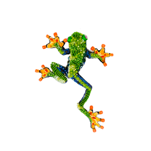 Red Eye Tree Frog Brooch  | Trovelore