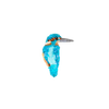 River Kingfisher Brooch | Trovelore