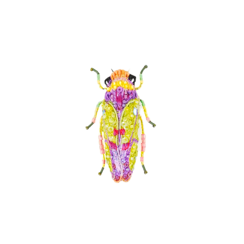 Sharpshooter Beetle Brooch  | Trovelore