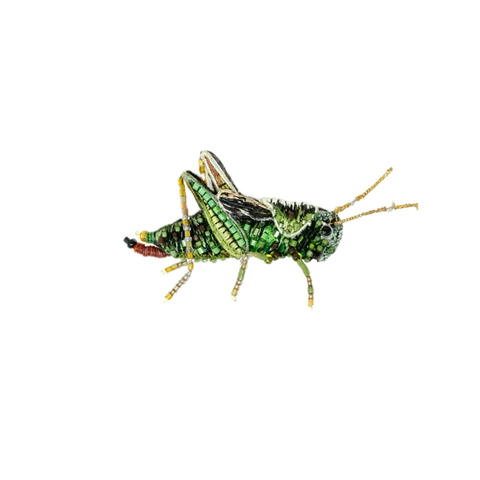 Green Crowned Woodnymph Brooch | Trovelore