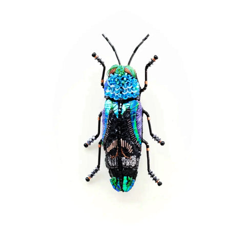 Ulkei Beetle Brooch | Trovelore