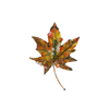 North Wind Maple Leaf Brooch | Trovelore