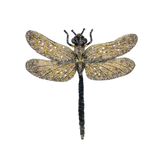 Vintage Glider Brooch | Trovelore