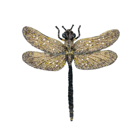 Vintage Glider Brooch | Trovelore