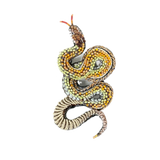 Viper Snake Brooch | Trovelore