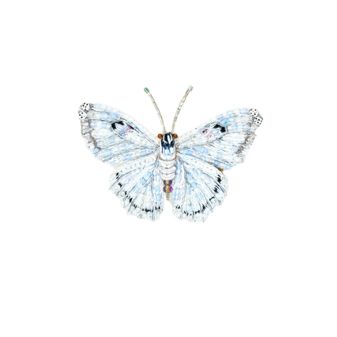 White Morpho Butterfly Brooch | Trovelore