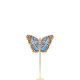 White Peacock Butterfly Object Art | Trovelore