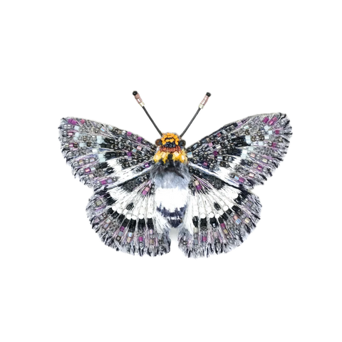 Yellow Breasted Flat Butterfly Brooch | Trovelore