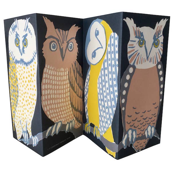 Wise Owl Cutout Card