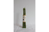 Asparagus Candle | Beeswax