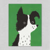 Lisa Jones | Collie Card