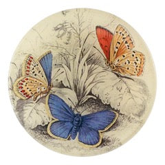 Blue Butterfly Tray