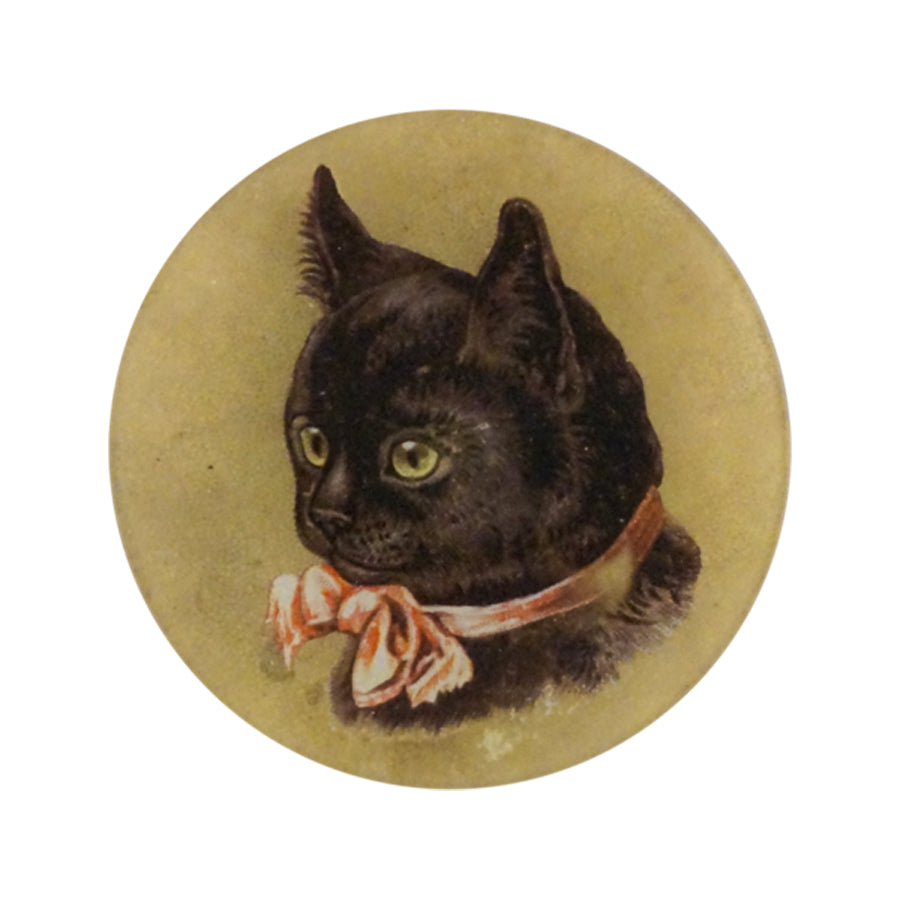 Black Kitten - 5.75" Round