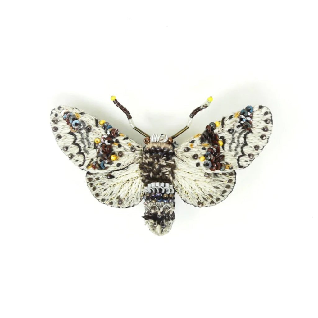 Alder Kitten Moth Brooch | Trovelore