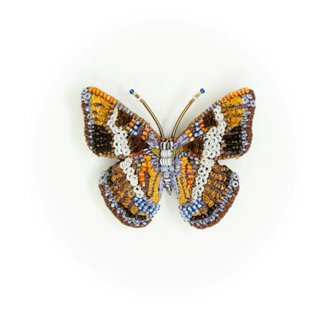 Arizona Sister Butterfly Brooch | Trovelore