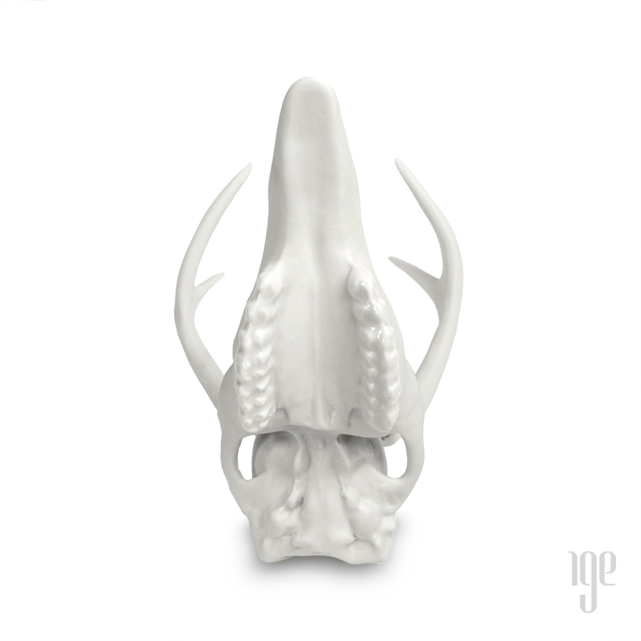 Porcelain White Tail Deer Skull